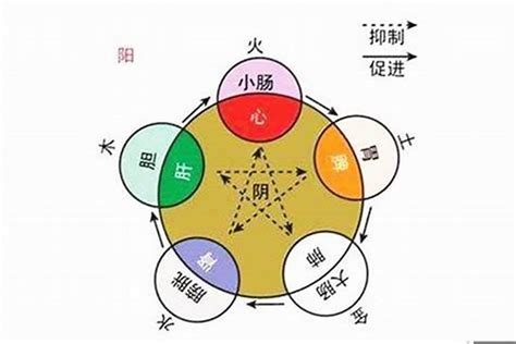 命屬性|如何知道一個人的五行屬什么